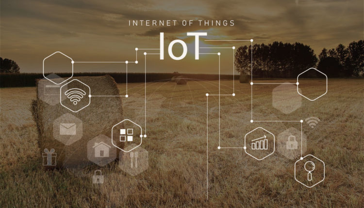 Agriculture IoT